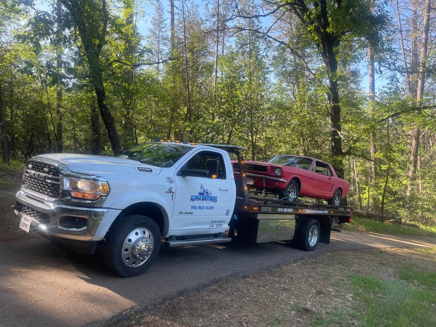 Alpha Brothers Ram flatbed tow truck transporting a classic red Ford Mustang on a wooded rural California road